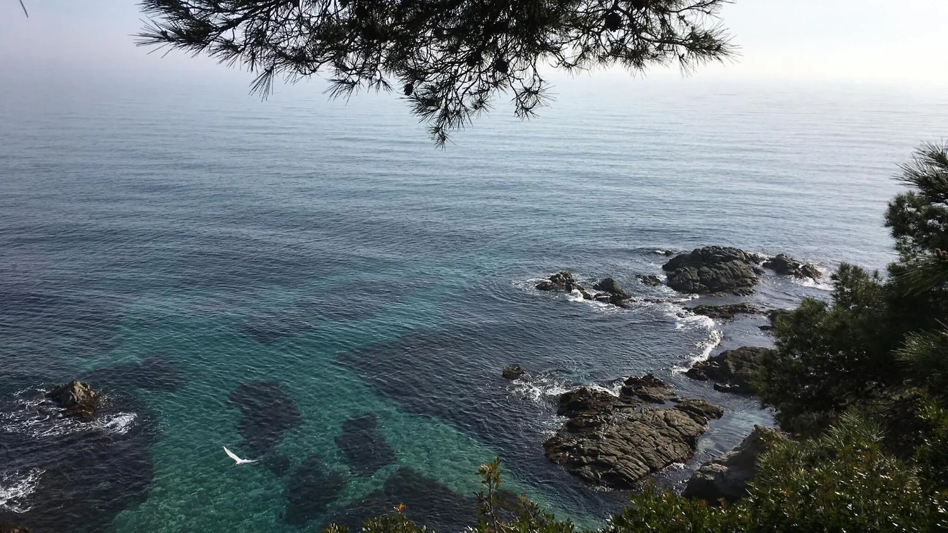 Vibrant Apartment Near Lloret Beach Lloret de Mar